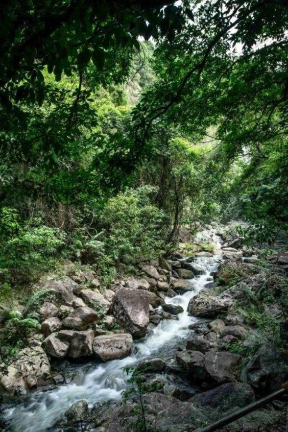 剑侠情缘手游